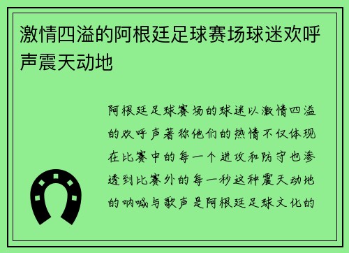 激情四溢的阿根廷足球赛场球迷欢呼声震天动地